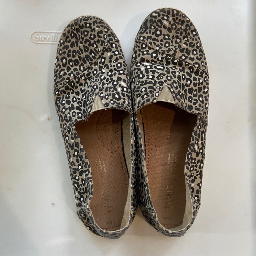 Leopard print TOMS